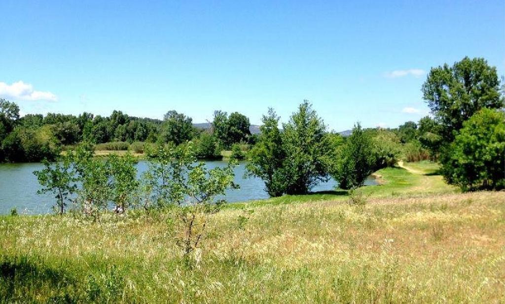Camping Le Fief D'Anduze Exteriör bild